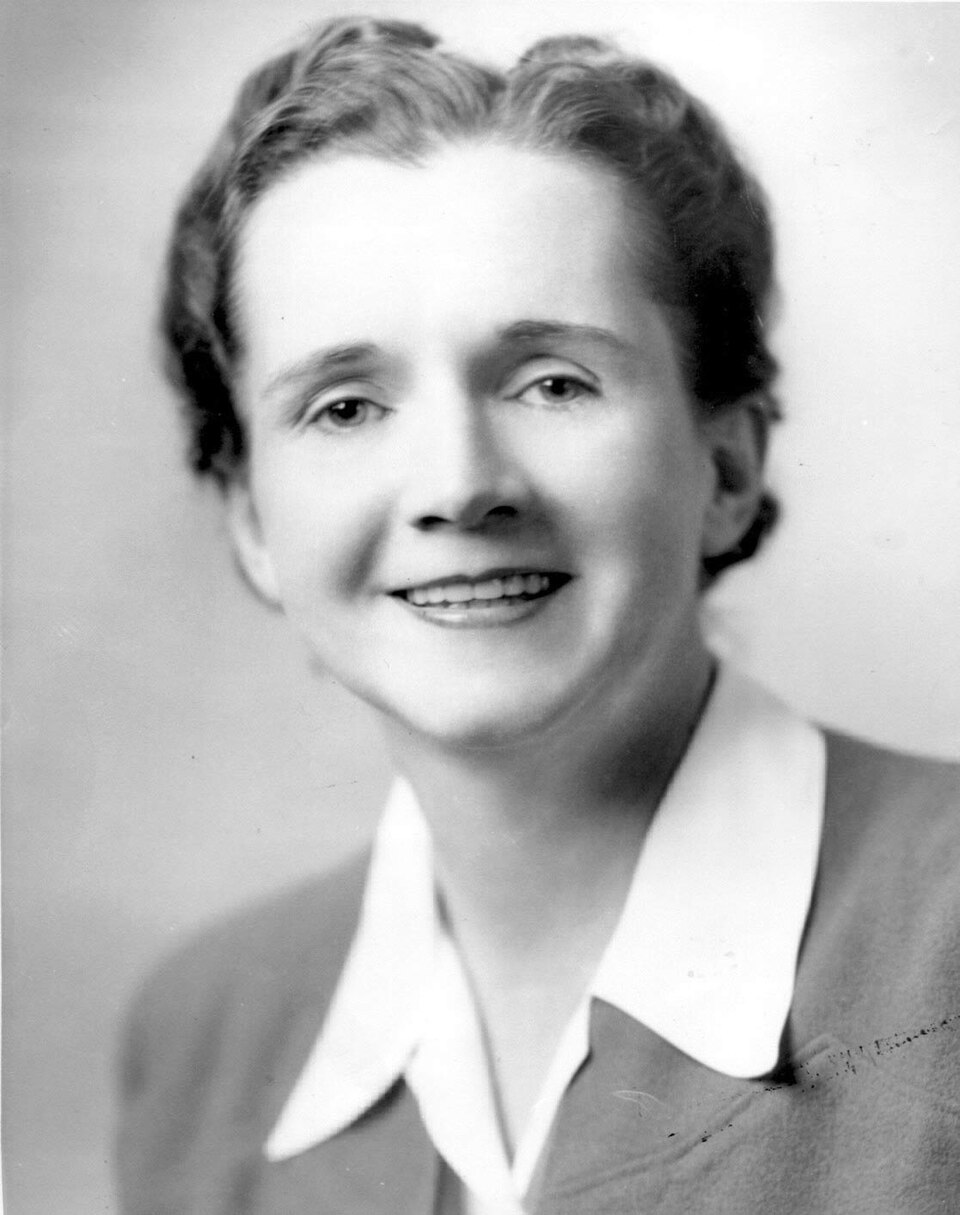 Portrait of Rachel Carson